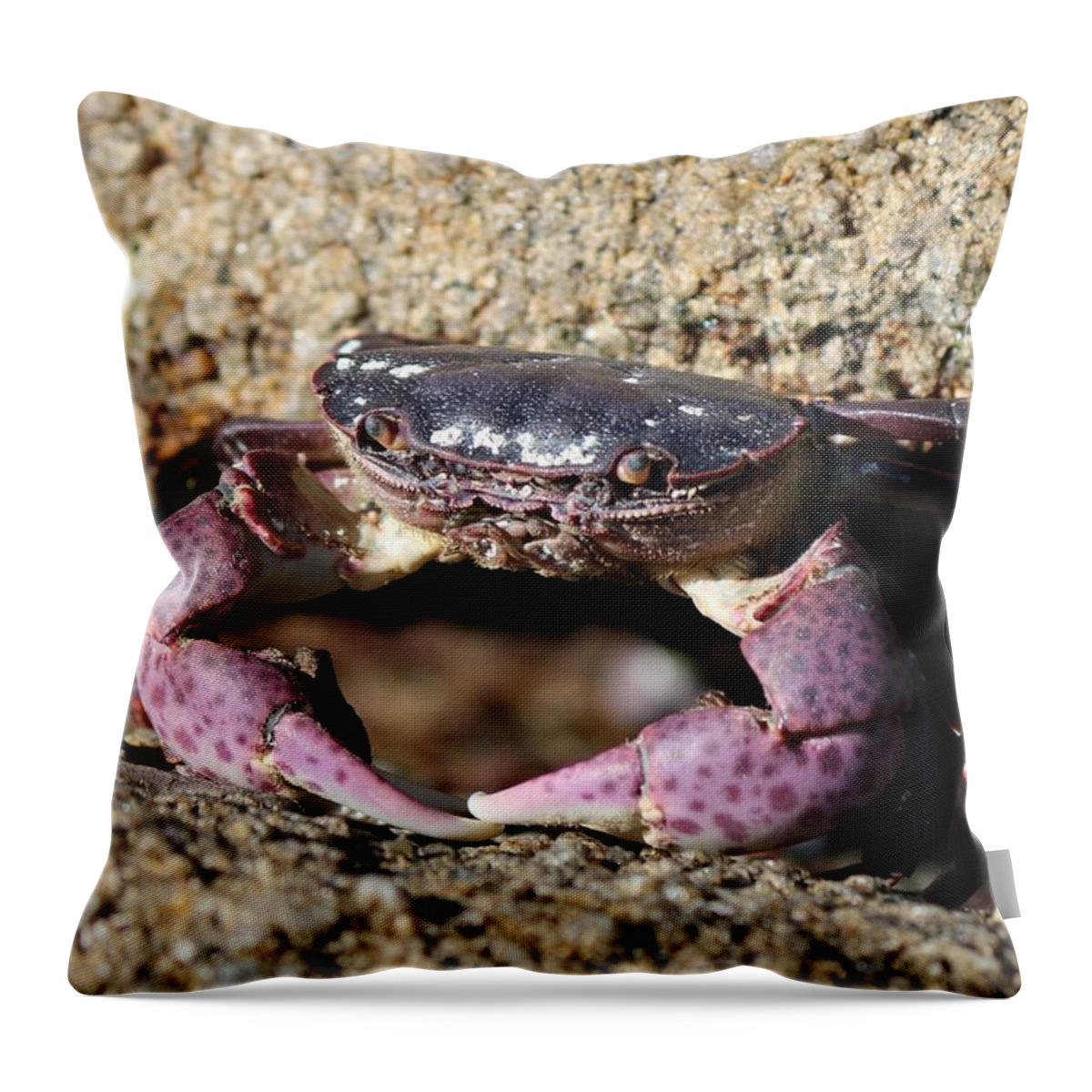 Crab Throw Pillow featuring the photograph Crab 2 by Christy Pooschke