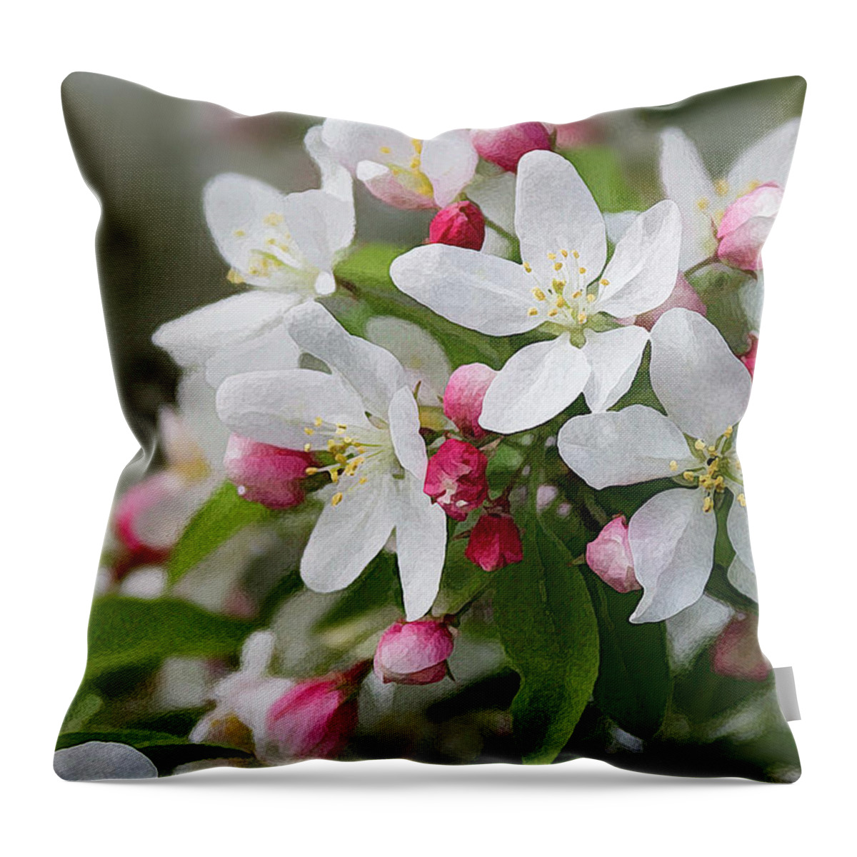 Crabapple Blossoms Throw Pillow featuring the photograph Crabapple Blossoms 12 - by Julie Weber