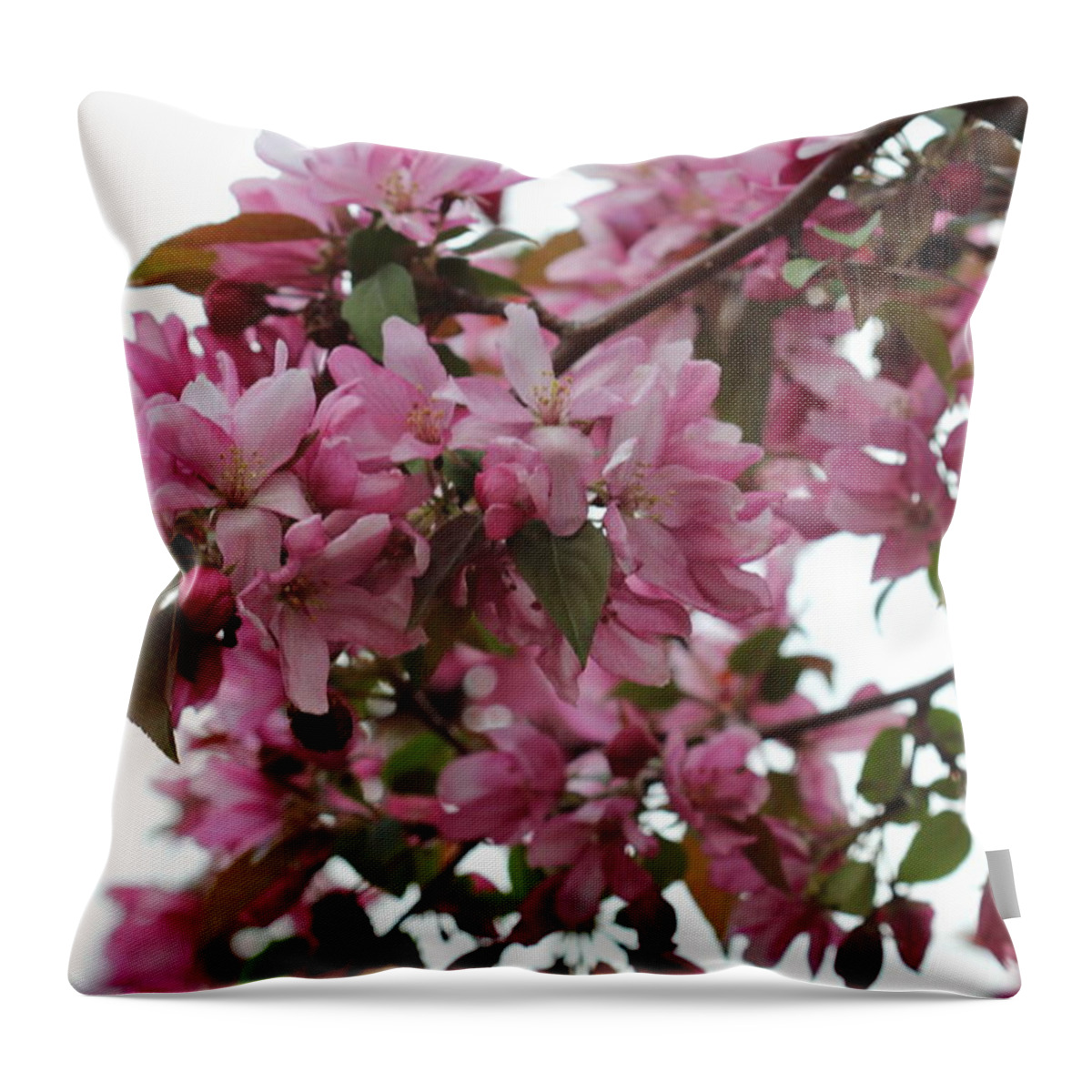 Landscape Throw Pillow featuring the photograph Crabapple Blossoms #3 by Donna L Munro