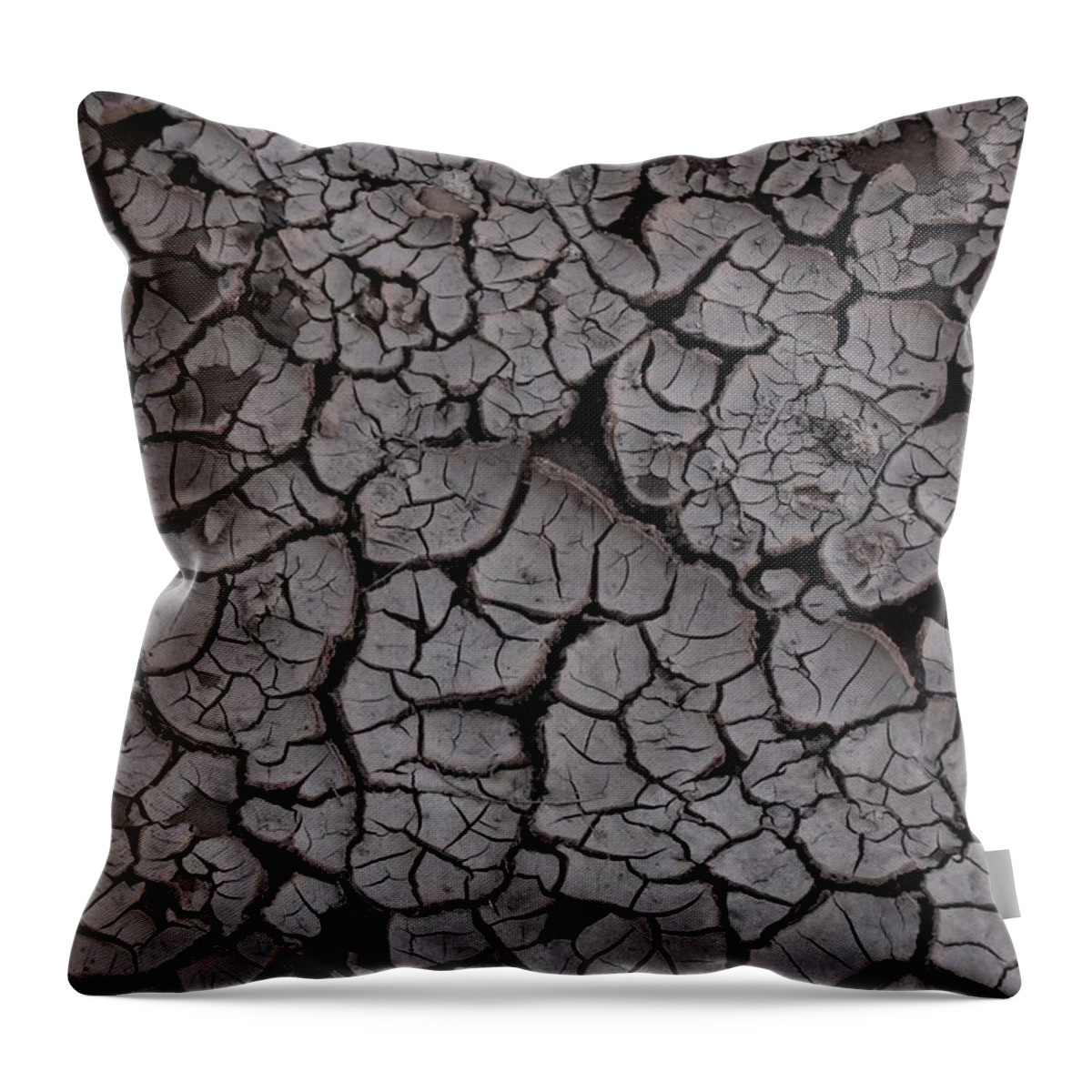 Crack Throw Pillow featuring the photograph Cracked by Melisa Elliott