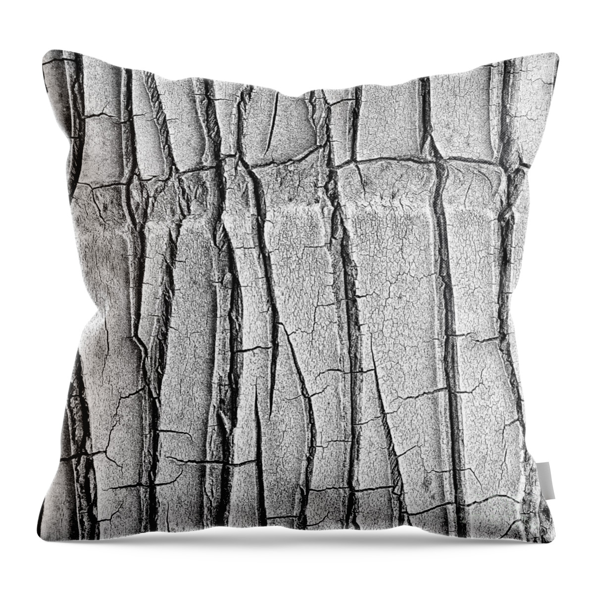 Abstract Throw Pillow featuring the photograph Cracked Trunk by Paul Topp