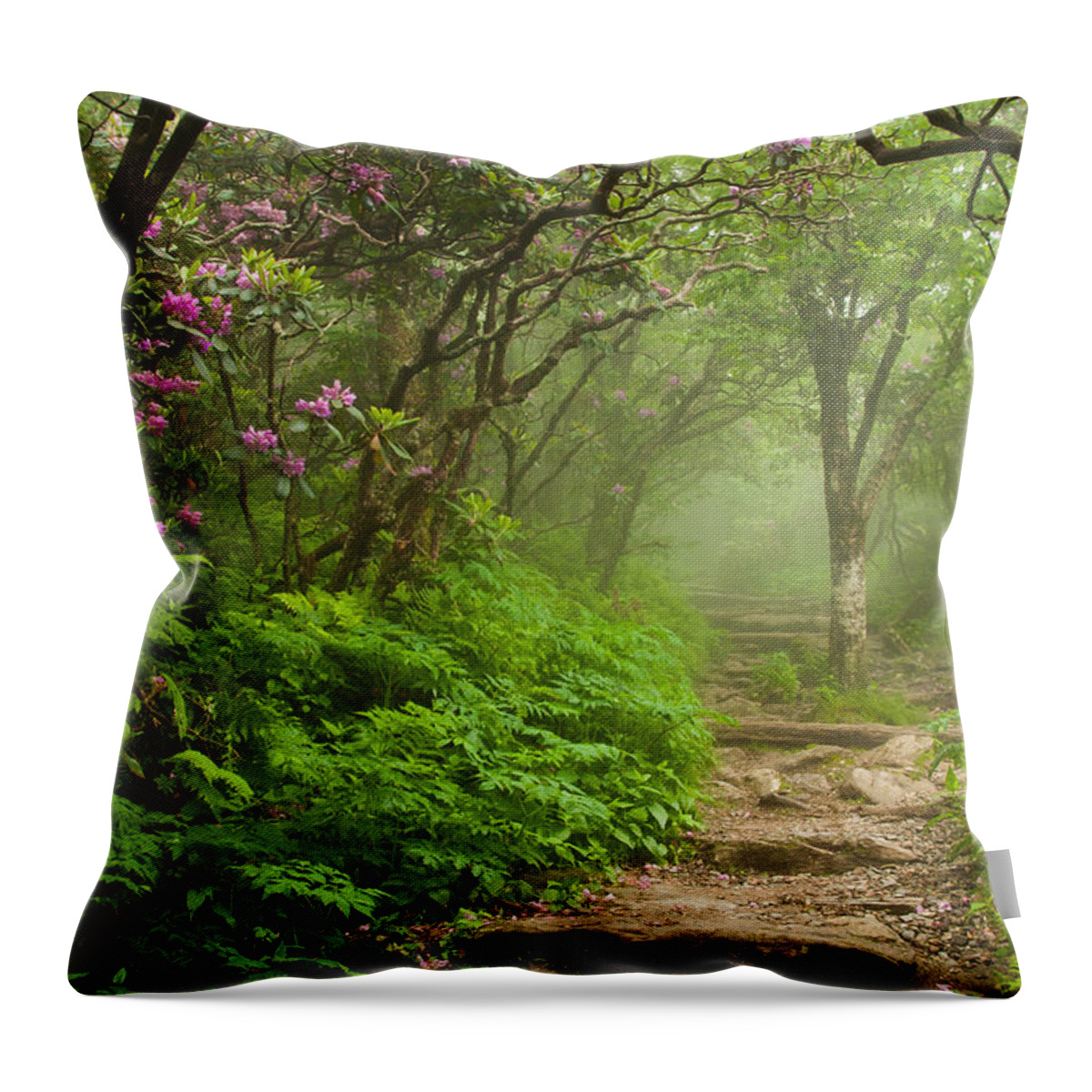 Great Smoky Mountains Throw Pillow featuring the photograph Craggy Steps by Joye Ardyn Durham