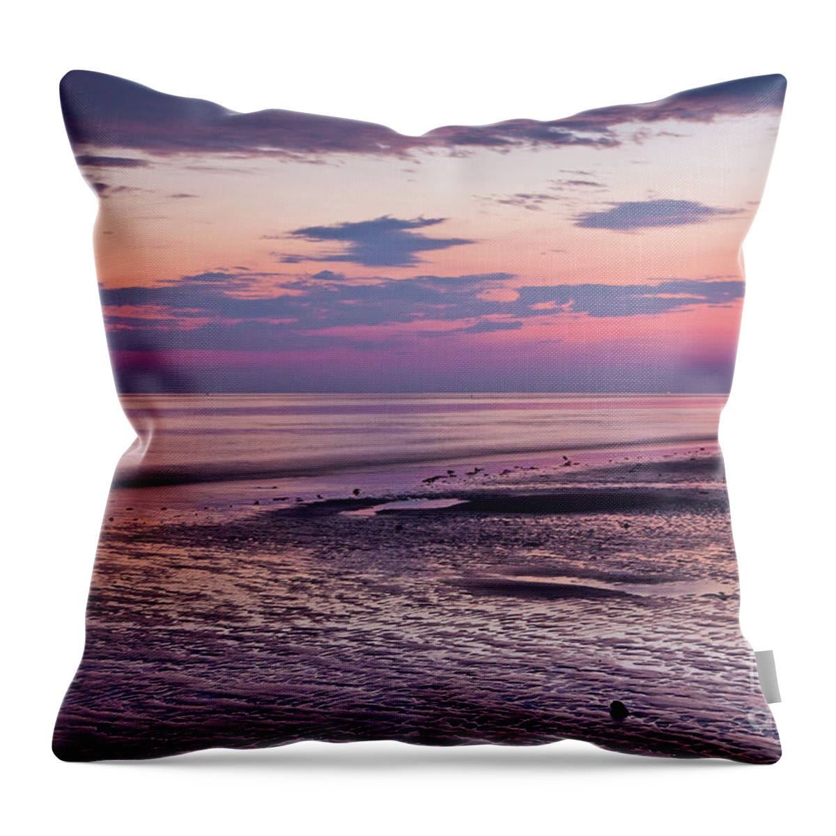 August Throw Pillow featuring the photograph Crane Beach by Susan Cole Kelly