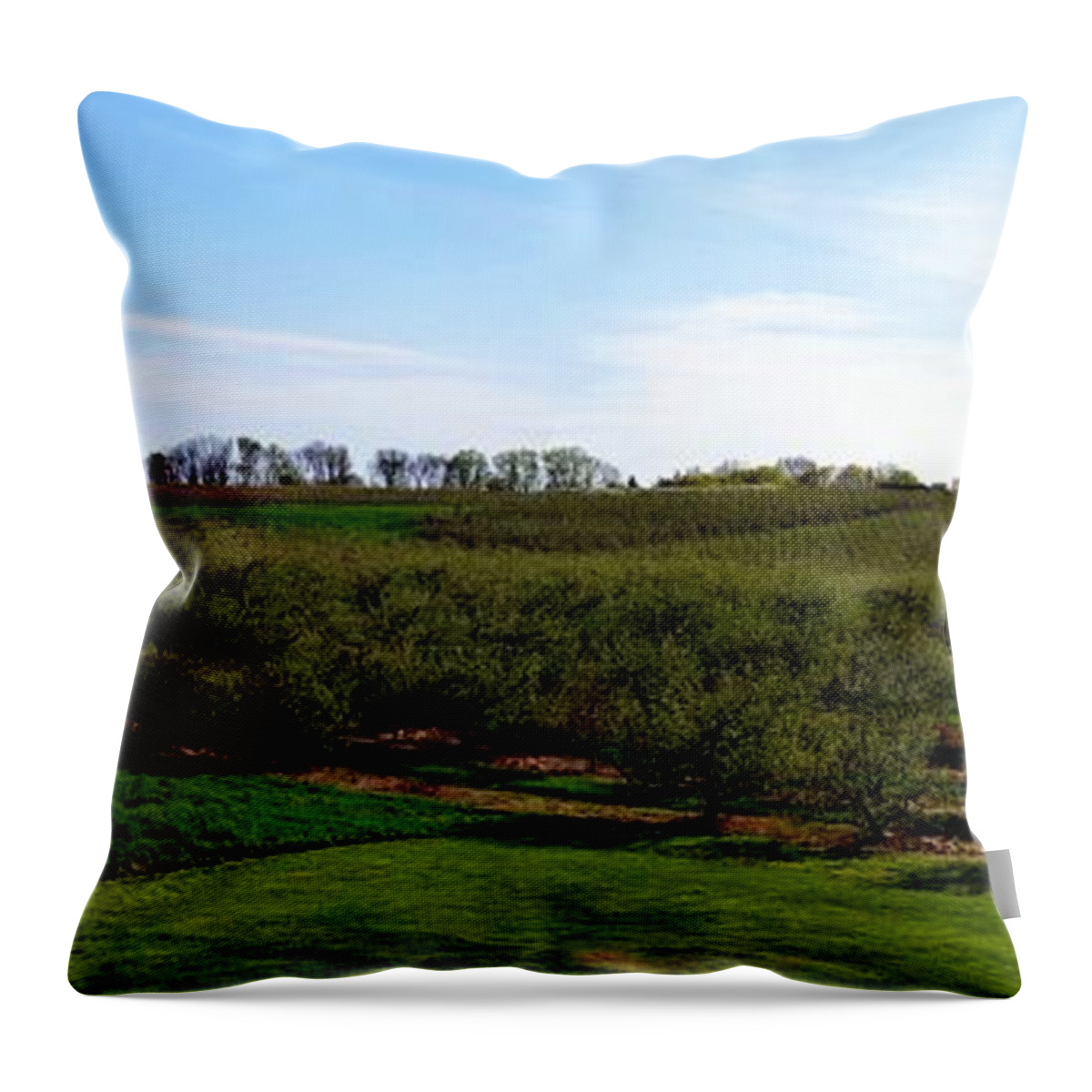Orchard Throw Pillow featuring the photograph Crane Orchards by Michelle Calkins