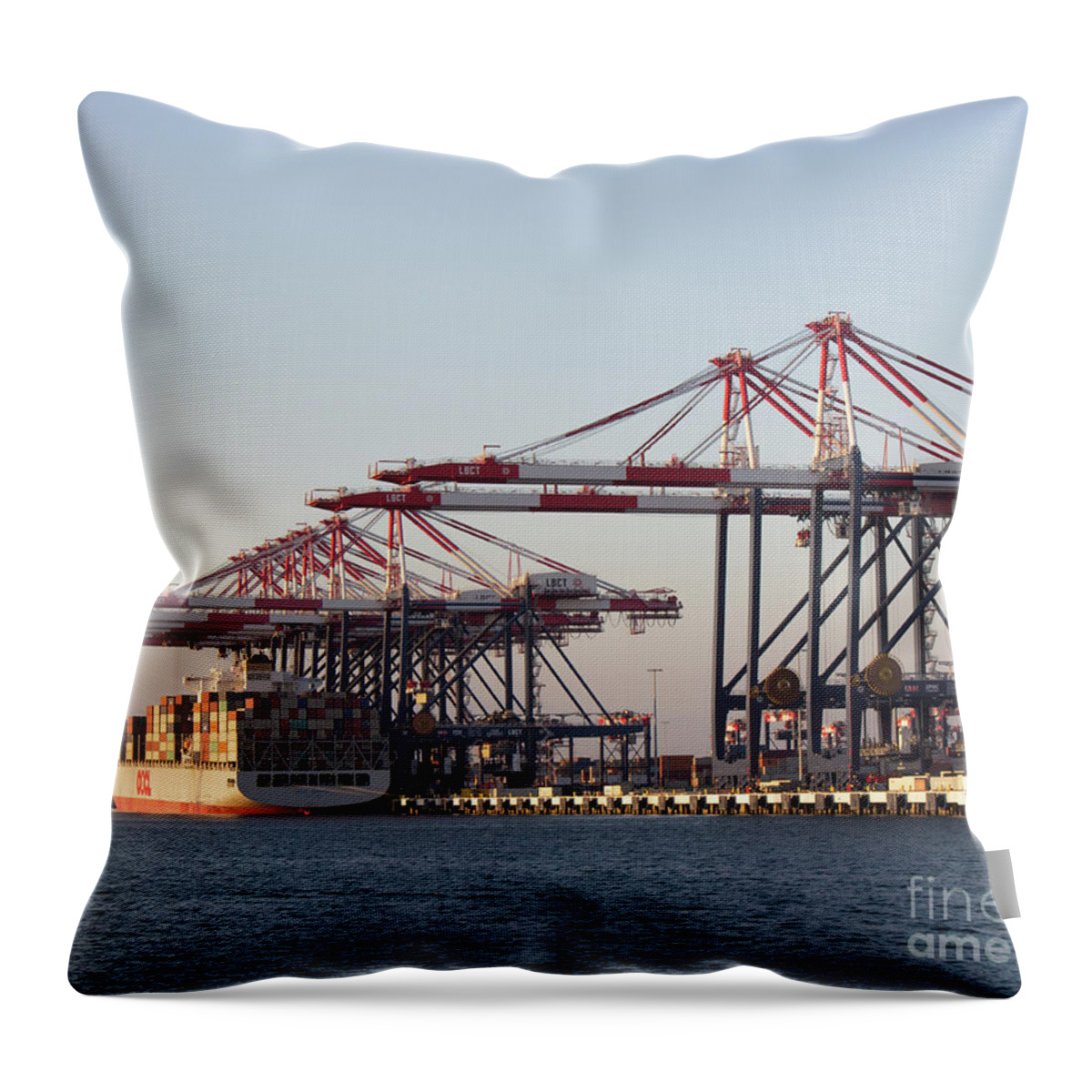 Cranes Throw Pillow featuring the photograph Cranes 2 by Cheryl Del Toro