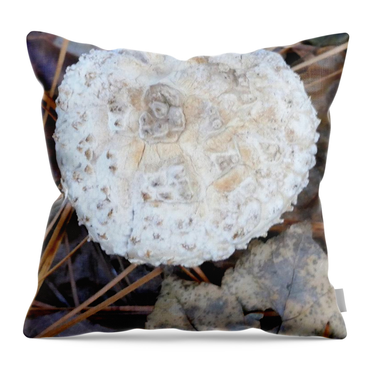Mushroom Throw Pillow featuring the photograph Creature in the Mushroom by Tom Horsch Photography