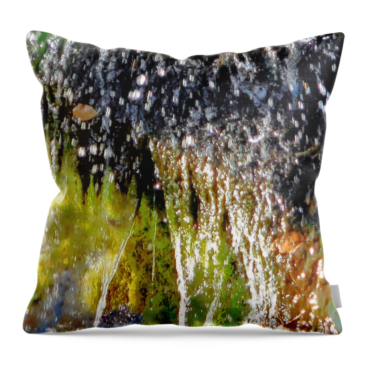 Autumn Throw Pillow featuring the painting Creek running through moss-covered stones 1 by Jeelan Clark