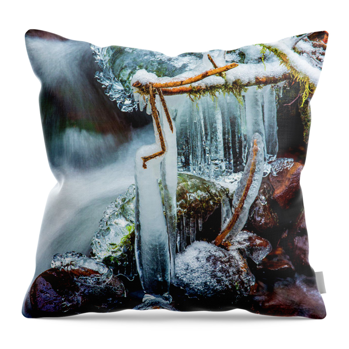 Art Throw Pillow featuring the photograph Creekside Icicles by Jason Brooks