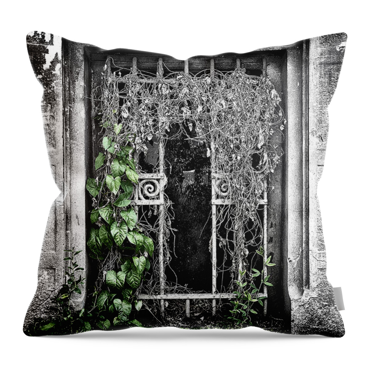 Architecture Throw Pillow featuring the photograph Creeping life by Radu Barsan