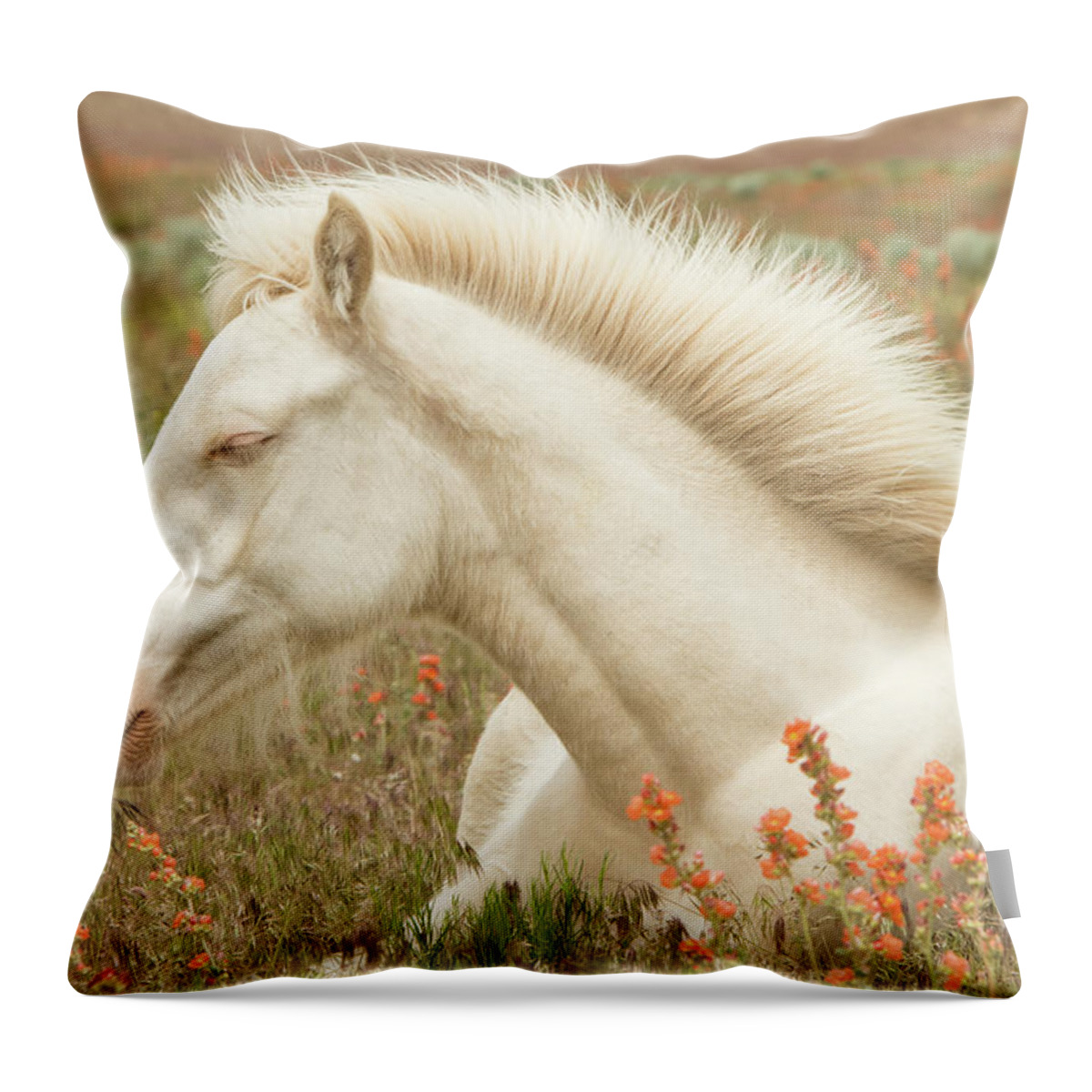 Horse Throw Pillow featuring the photograph Cremello Beauty by Kent Keller