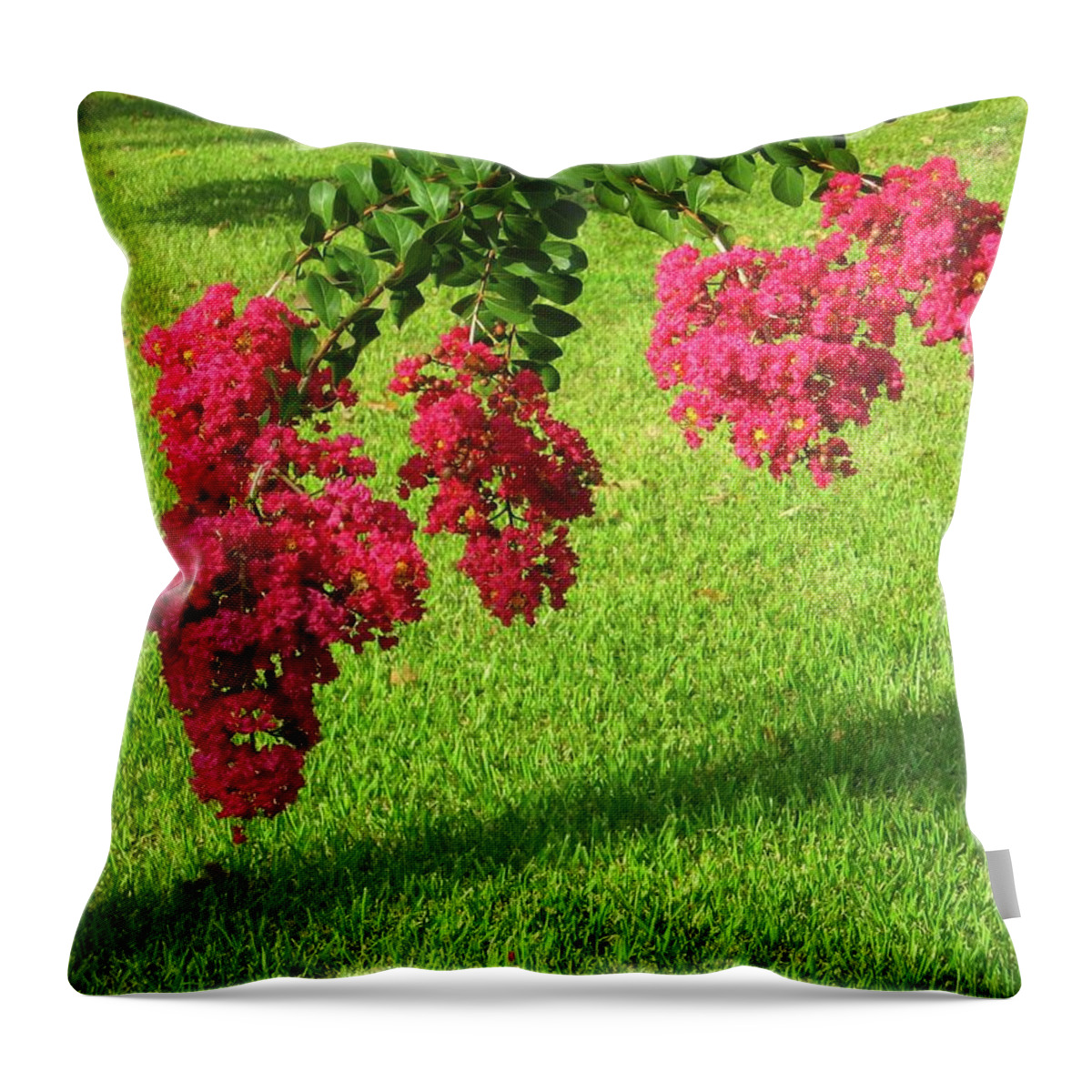 Flowers Throw Pillow featuring the photograph Crepe Myrtle Dancers by Judith Lauter