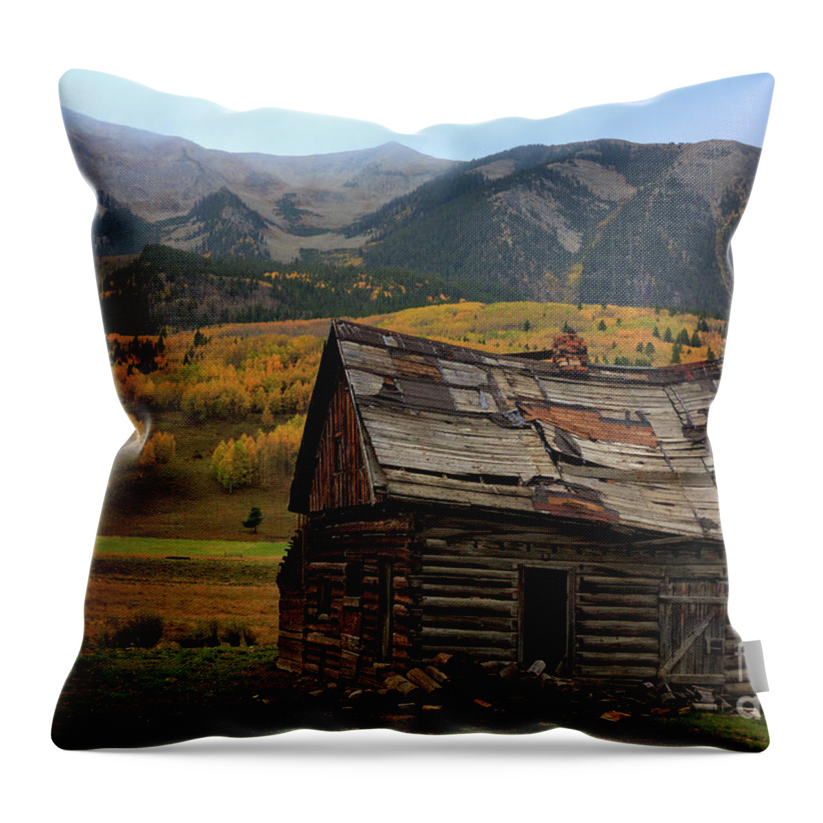 Colorado Throw Pillow featuring the photograph Crested Butte Autumn by Doug Sturgess
