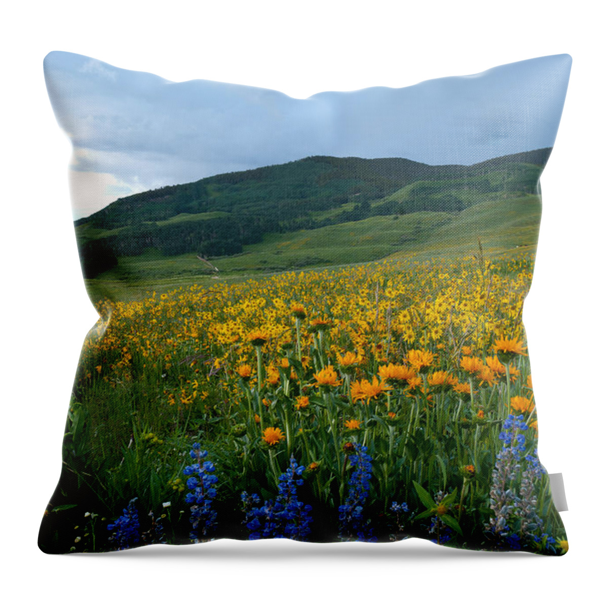 Wildflower Throw Pillow featuring the photograph Crested Butte Evening Wildflowers and Mountains by Cascade Colors