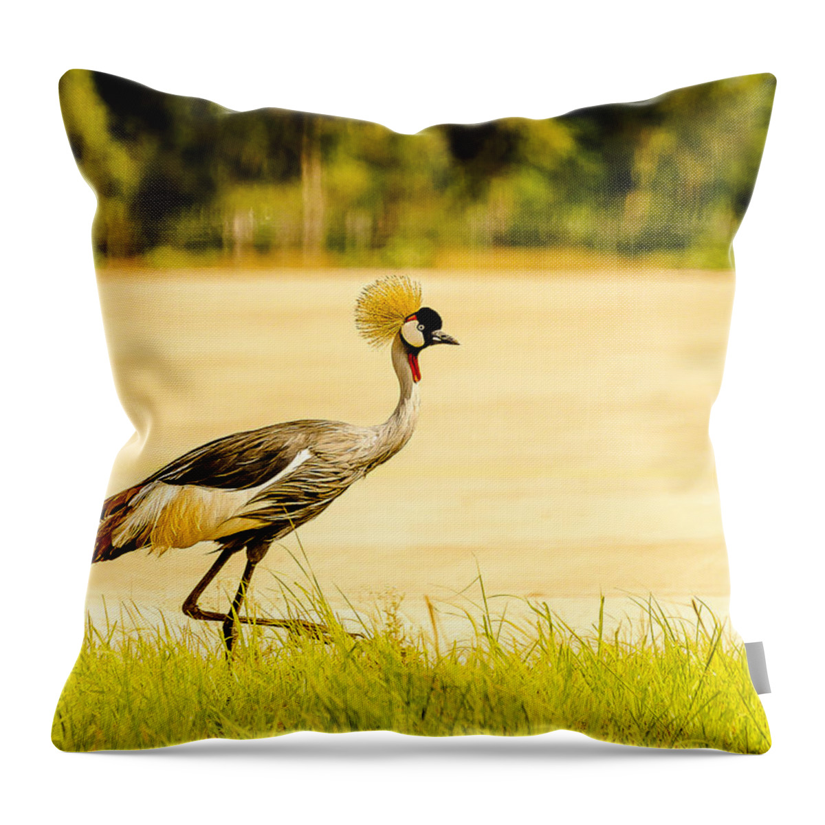 Birds Throw Pillow featuring the photograph Crested Crane by Patrick Kain