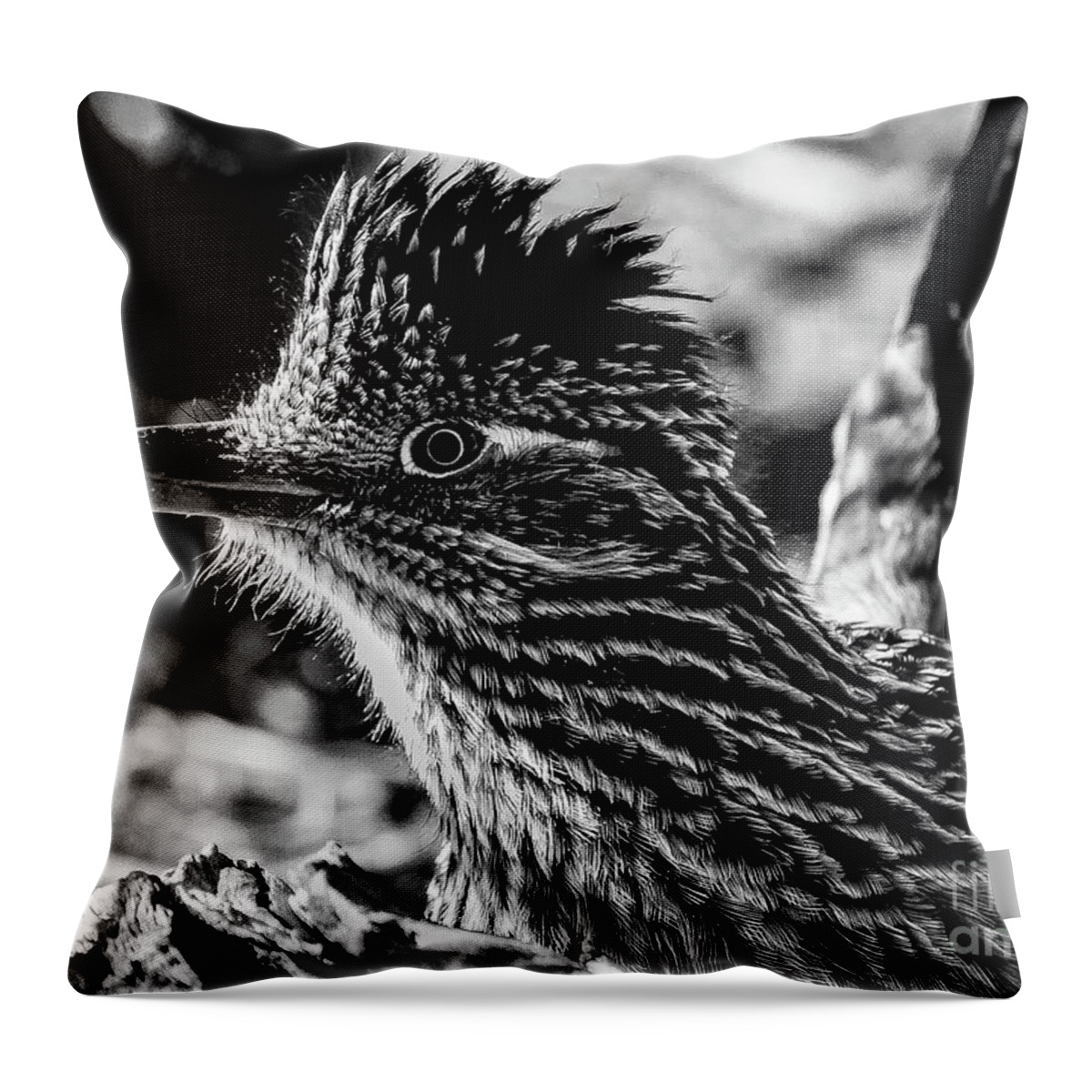 Bird Throw Pillow featuring the photograph Cresting Roadrunner, Black and White by Adam Morsa