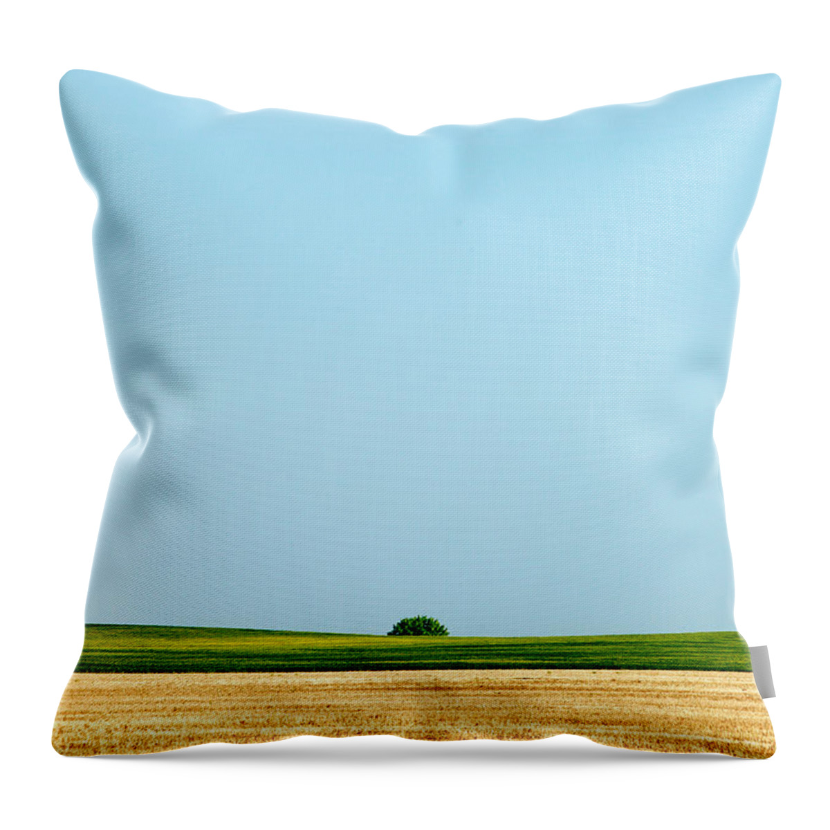 Treen Throw Pillow featuring the photograph Crevice by Todd Klassy