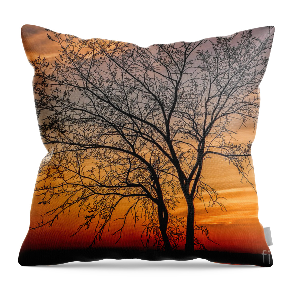 Tree Throw Pillow featuring the photograph Crimson Branches by Carol Randall