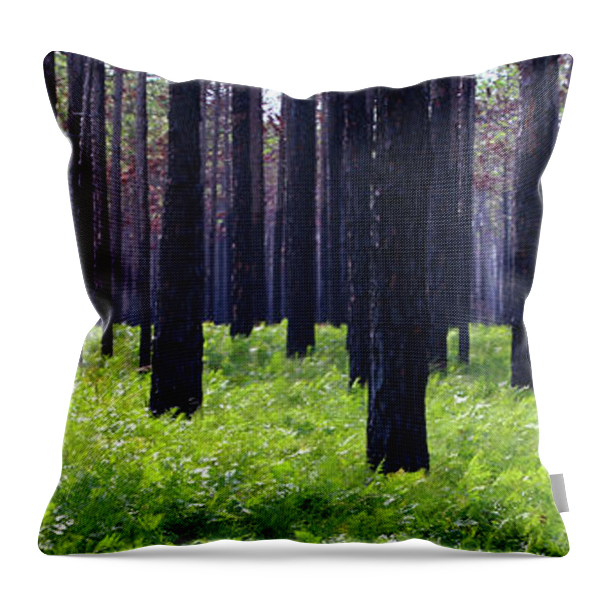 Croatan Throw Pillow featuring the photograph Springtime in the Croatan National Forest, NC by Marty Fancy