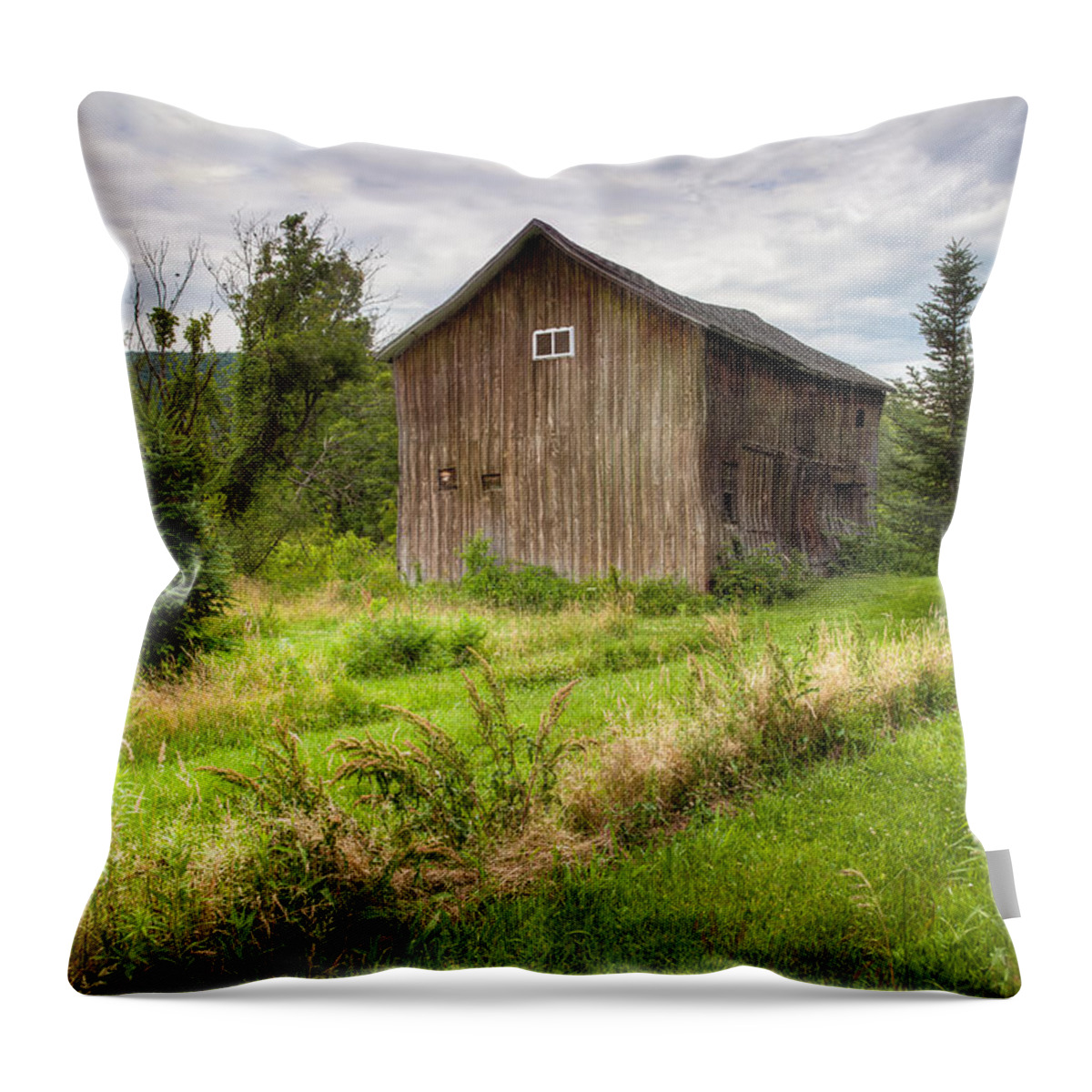 Old Barns Throw Pillow featuring the photograph Crooked Old Barn on South 21 - Finger Lakes New York State by Gary Heller