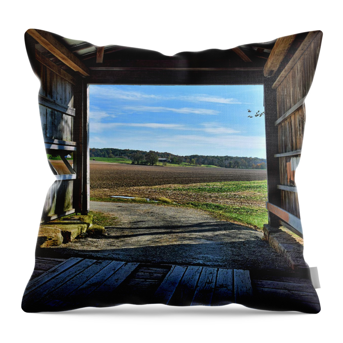Crooks Throw Pillow featuring the photograph Crooks Covered Bridge 2 by Joanne Coyle