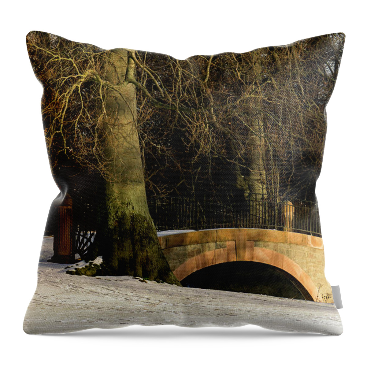 Park Throw Pillow featuring the photograph Crossing - 365-278 by Inge Riis McDonald