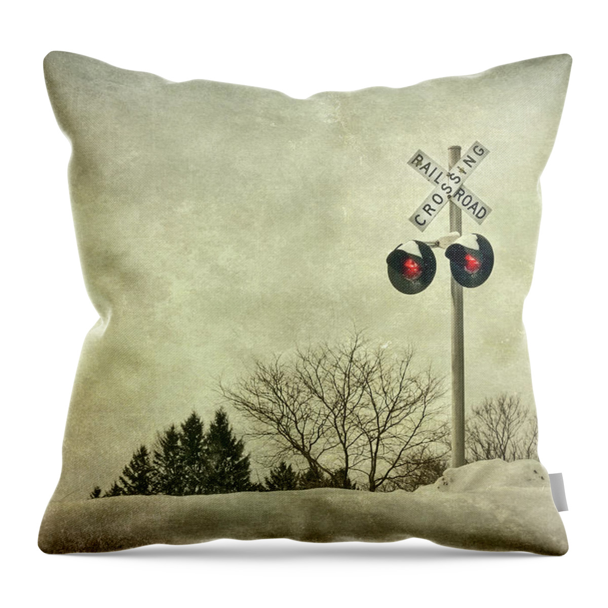 Rail Throw Pillow featuring the photograph Crossing Over by Evelina Kremsdorf