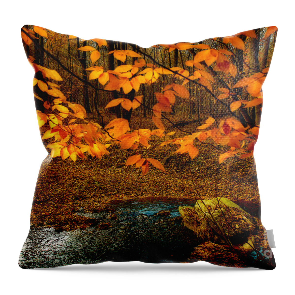 Nature Throw Pillow featuring the photograph Crossing Over by Lois Bryan