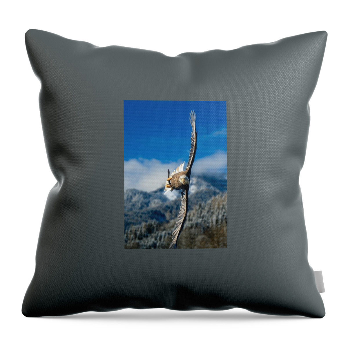 Crosswind Throw Pillow featuring the photograph Crosswind Eagle by Andy Bucaille