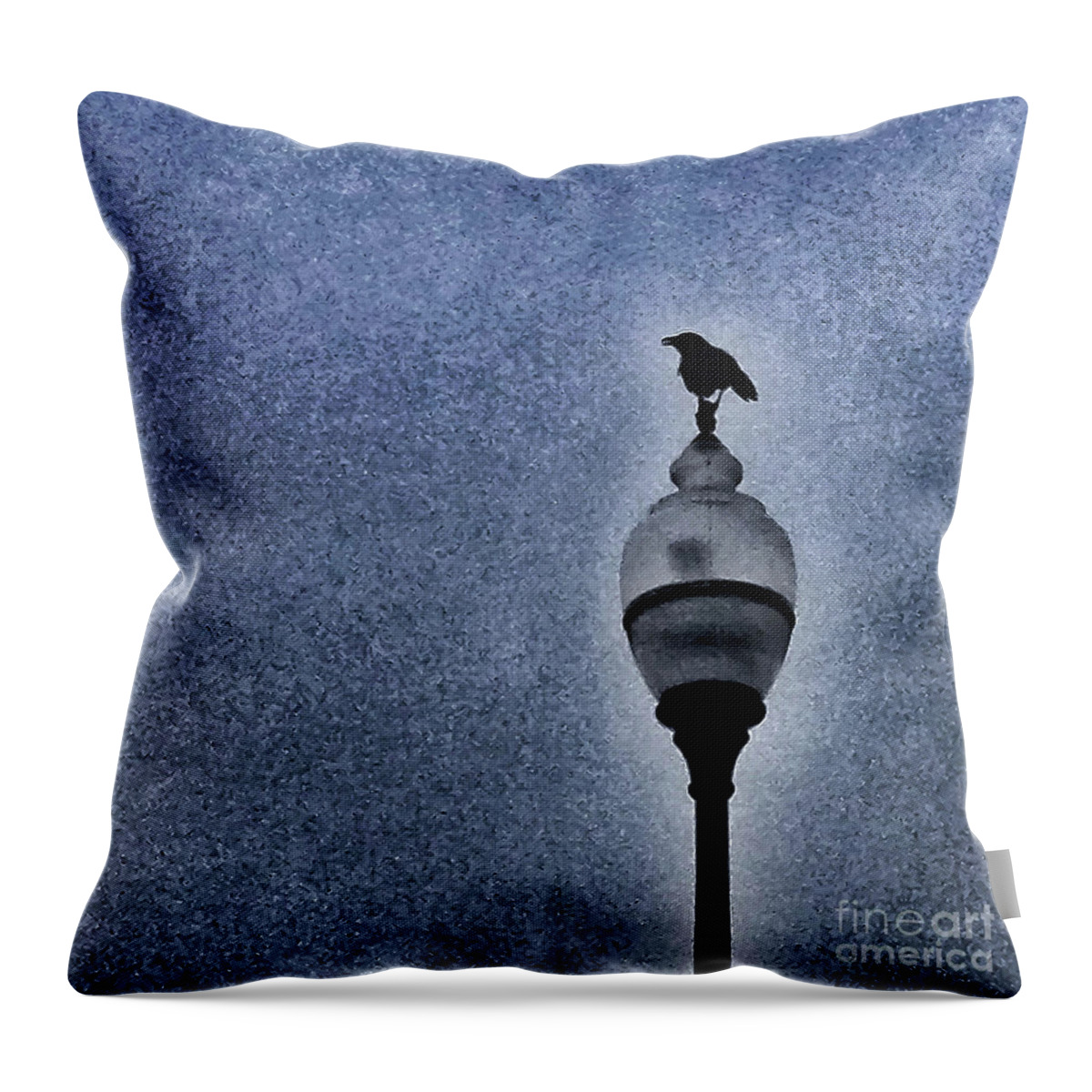 Crow Throw Pillow featuring the photograph Crow at rest by Barry Bohn