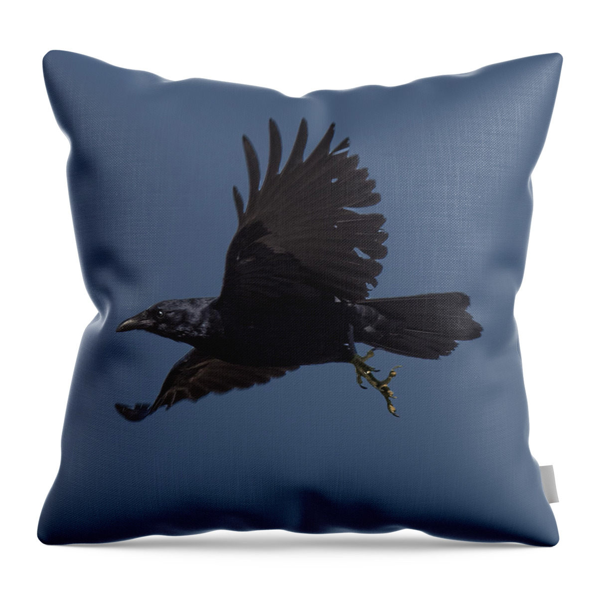 Fauna Throw Pillow featuring the photograph Crow Flying by William Bitman