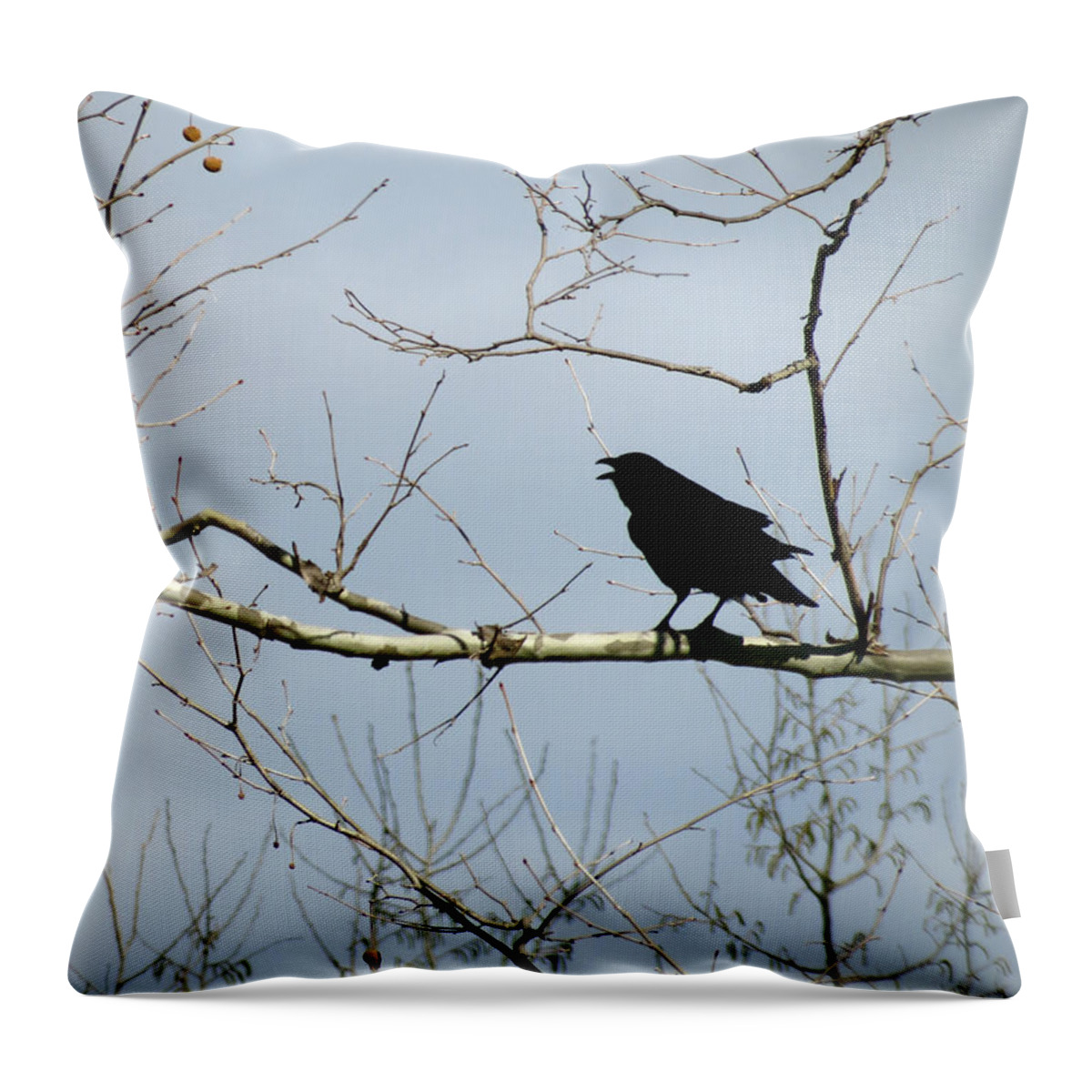 Crow Throw Pillow featuring the photograph Crow in Sycamore by Azthet Photography