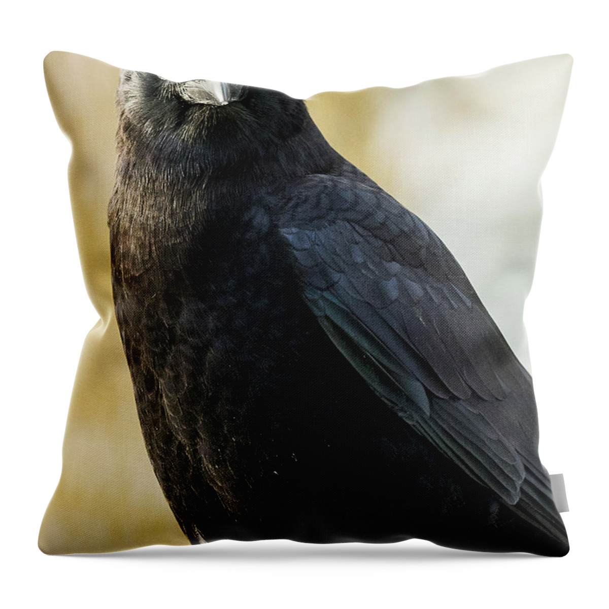Minnesota Throw Pillow featuring the photograph Crow by Joan Wallner