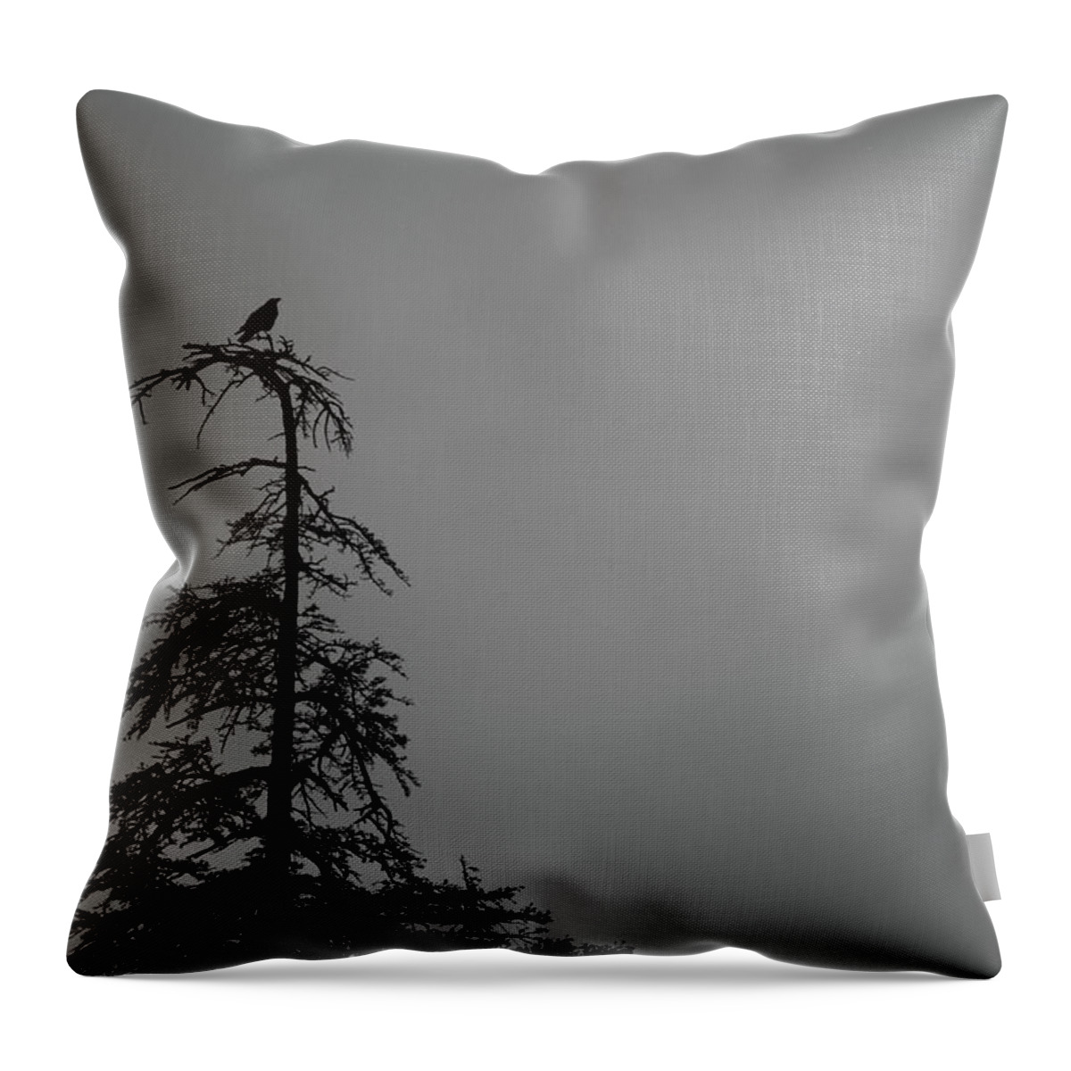 Bird Throw Pillow featuring the photograph Crow Perched on Tree Top - Black and White by Matt Quest