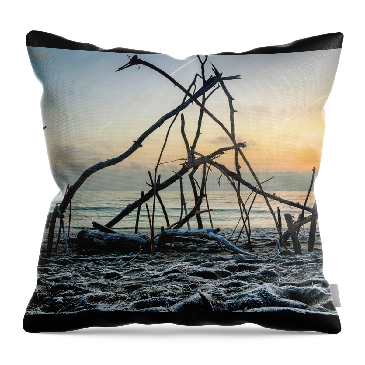 Lake Throw Pillow featuring the photograph Crown by Terri Hart-Ellis