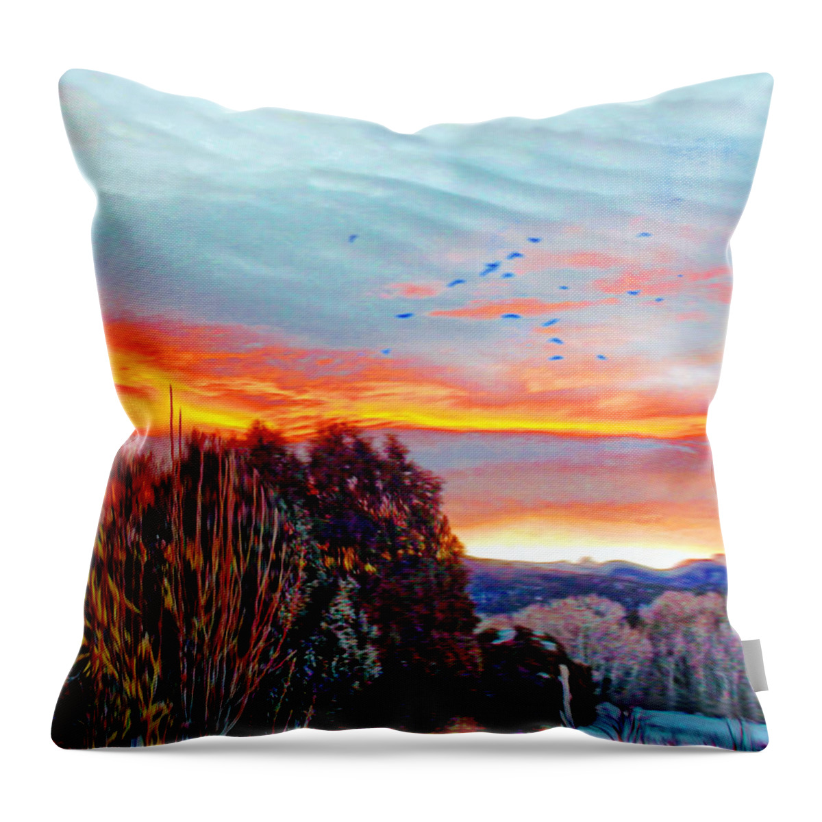 Winter Scene Throw Pillow featuring the photograph Crows Before Dawn El Valle New Mexico by Anastasia Savage Ealy