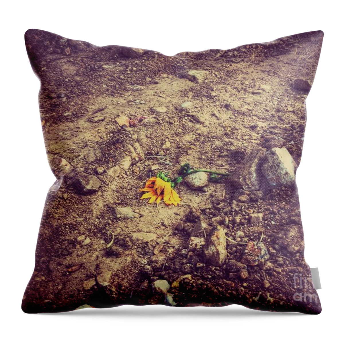 Sunflower Throw Pillow featuring the photograph Crushed by Leah McPhail