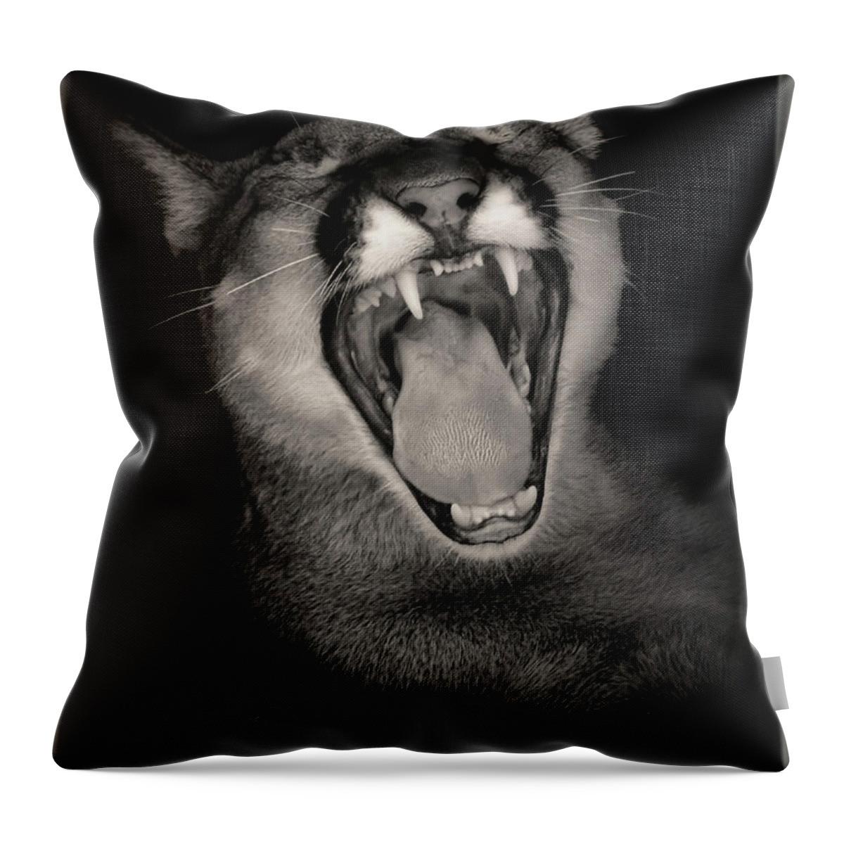Mountain Lions Throw Pillow featuring the photograph Cruz Yawning by Elaine Malott