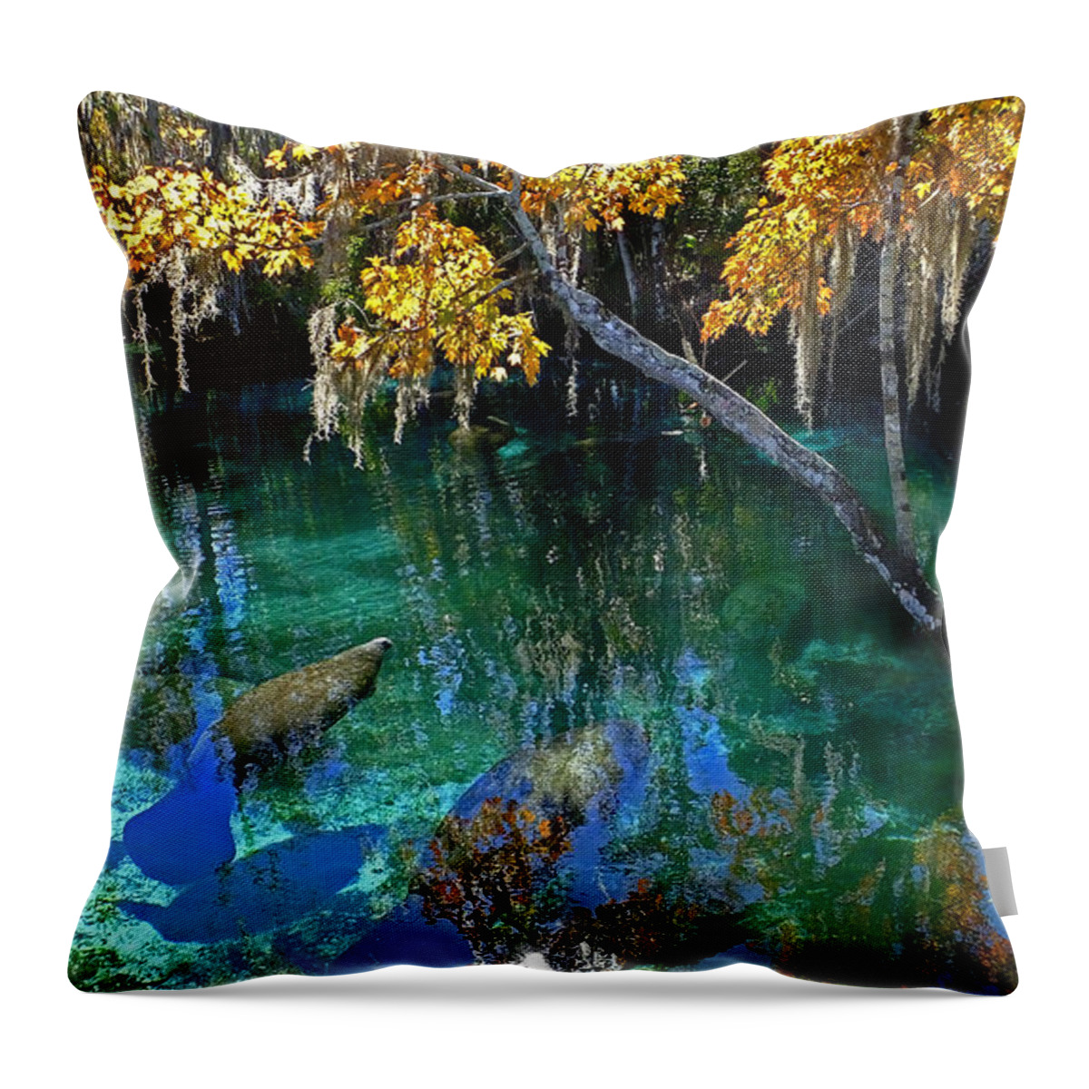 Spring Throw Pillow featuring the photograph Crystalline Spring by Judy Wanamaker