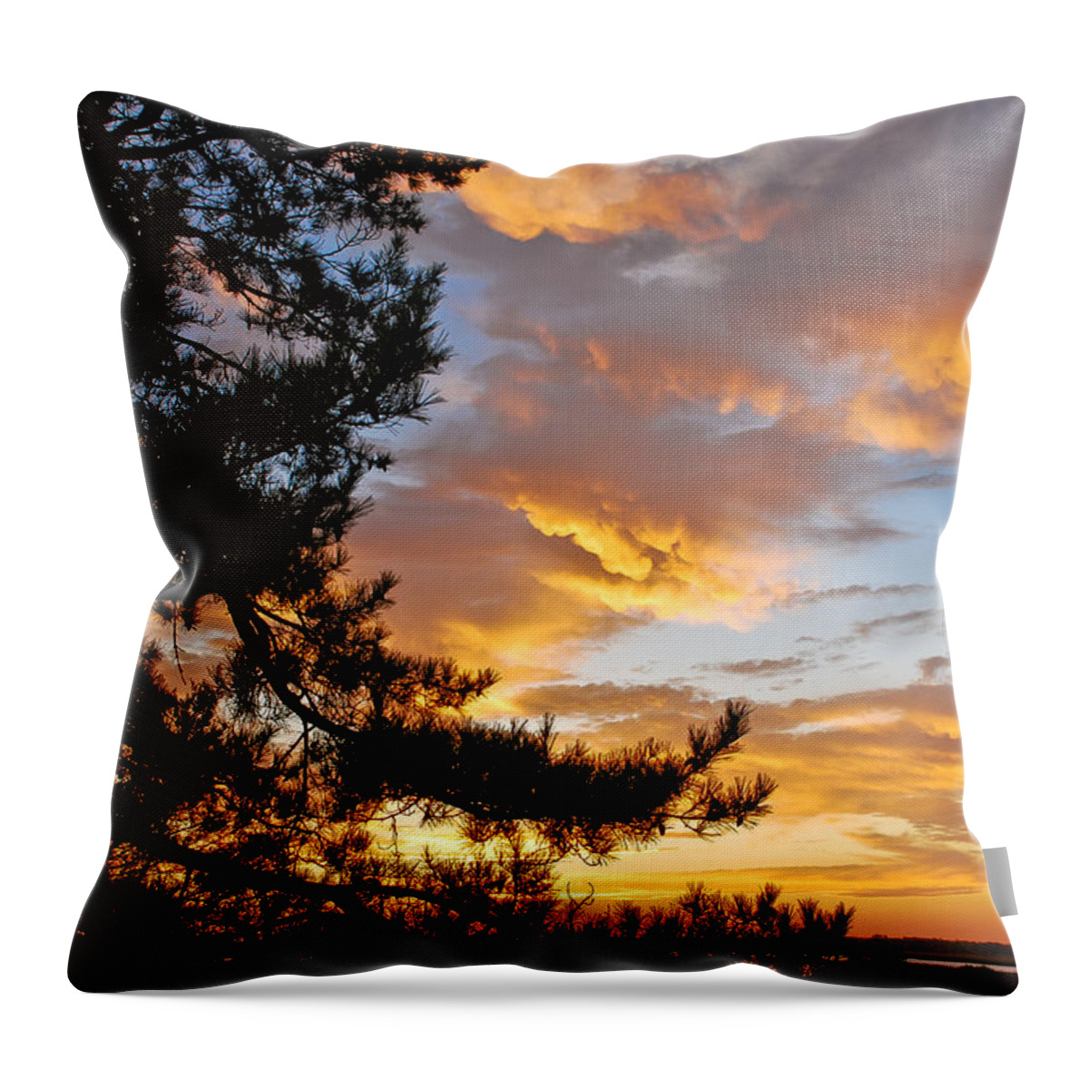 Nature Throw Pillow featuring the photograph Cumulus Clouds Plum Island by Michael Hubley