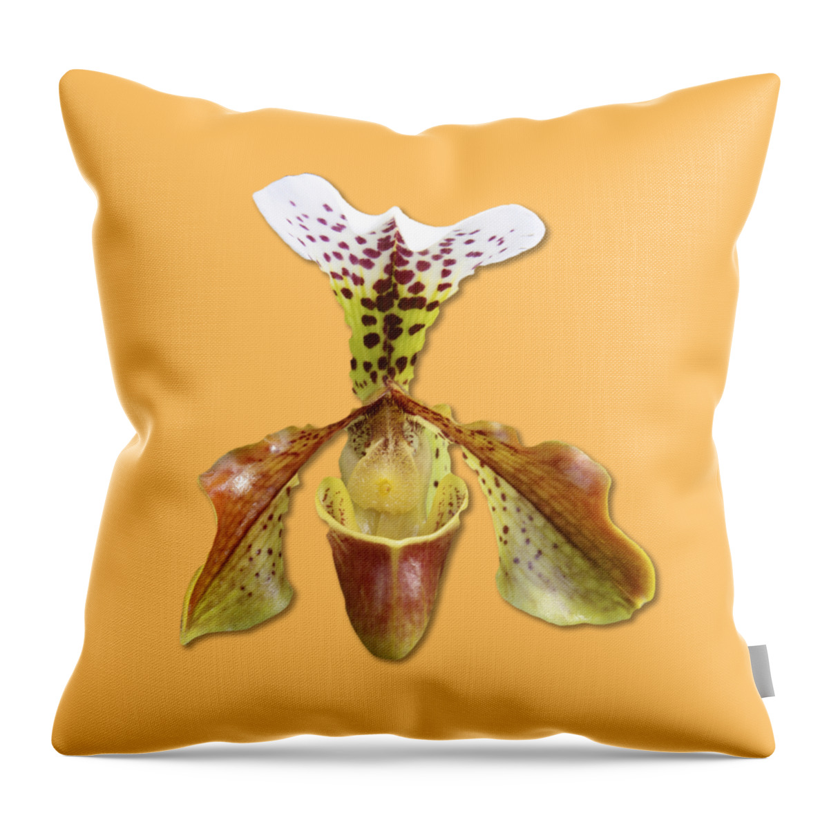 White Throw Pillow featuring the photograph Cup of Nectar by Bob Slitzan