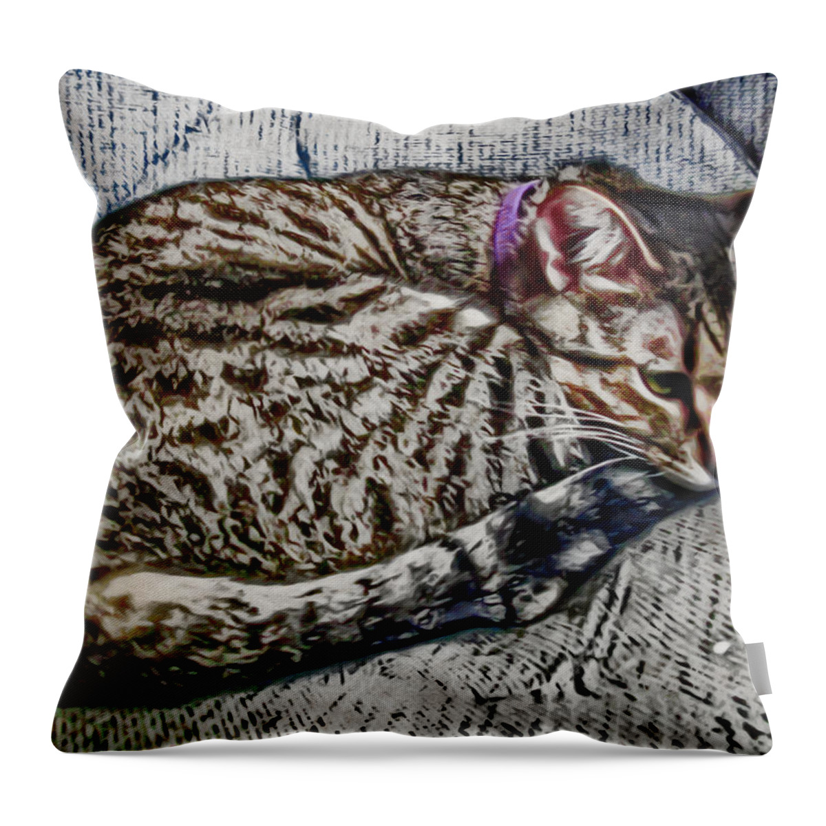 Cat Throw Pillow featuring the digital art Curled and Ready For A Nap by David G Paul