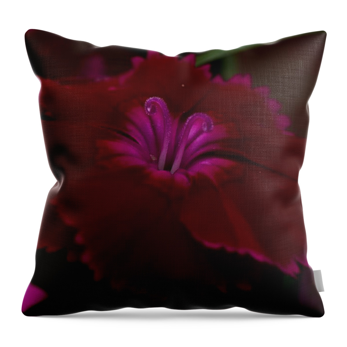 Flowers Throw Pillow featuring the photograph Curly and Cue by Jimmy Chuck Smith