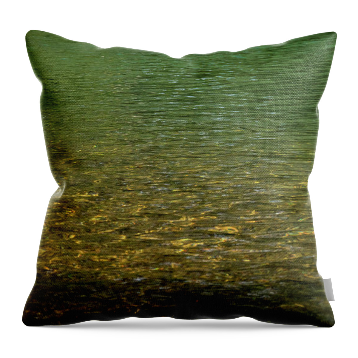 Current Throw Pillow featuring the photograph Current by Holly Ross