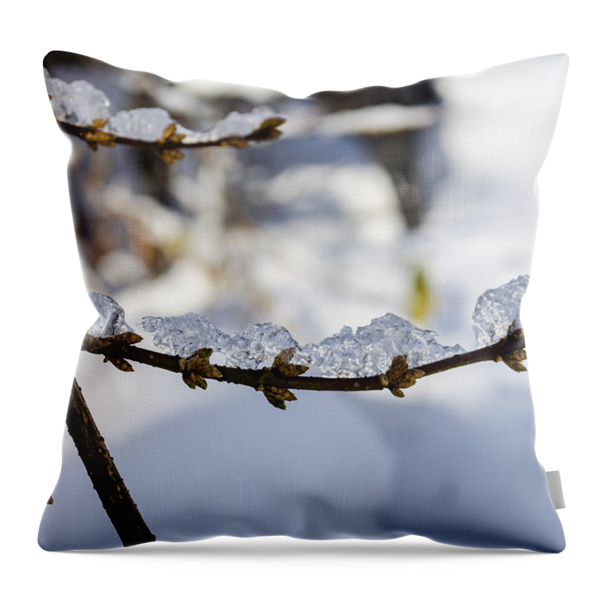 Snow Throw Pillow featuring the photograph Curved Clumps of Ice by Deborah Smolinske