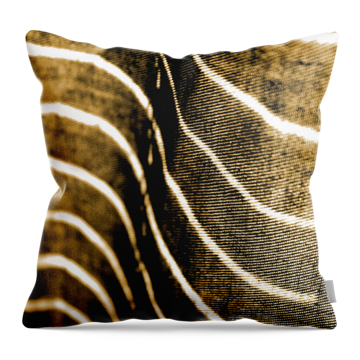 Abstract Throw Pillow featuring the photograph Curves and Folds by Todd Blanchard
