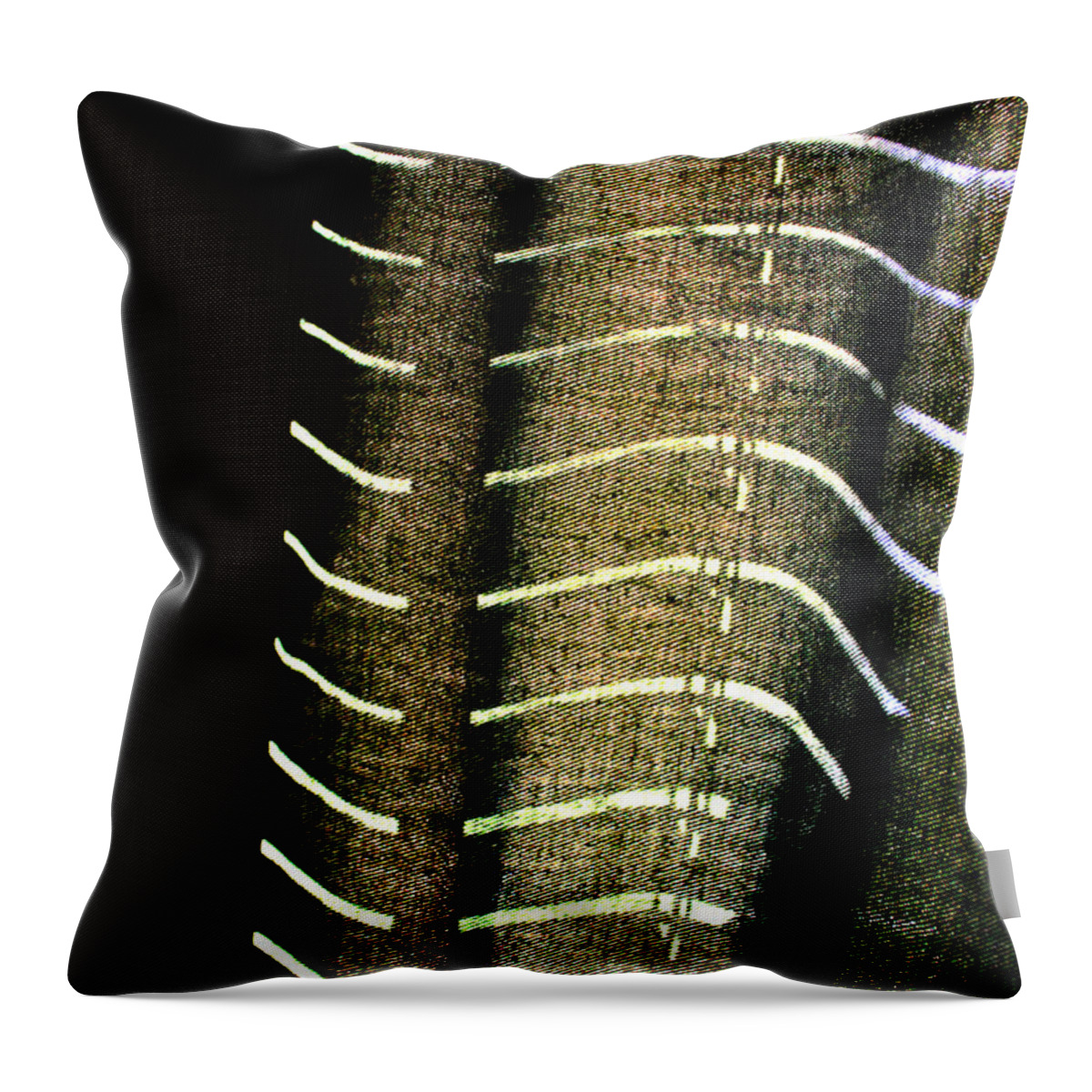 Abstract Throw Pillow featuring the photograph Curvilinear by Todd Blanchard