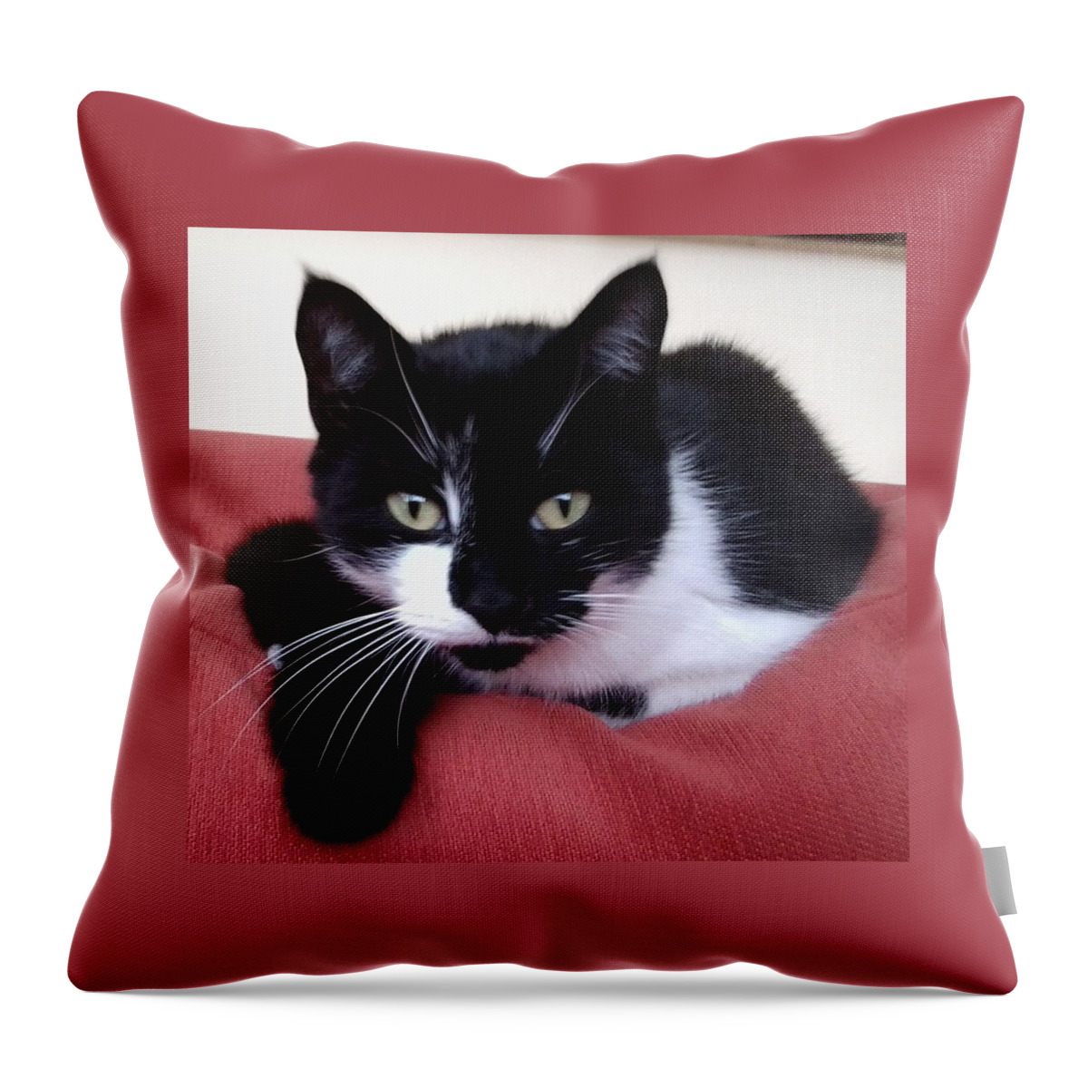 Cat Throw Pillow featuring the photograph Cute Cat by Julia Woodman