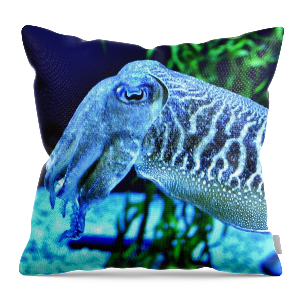 Fish Throw Pillow featuring the photograph Cuttlefish by Eileen Brymer
