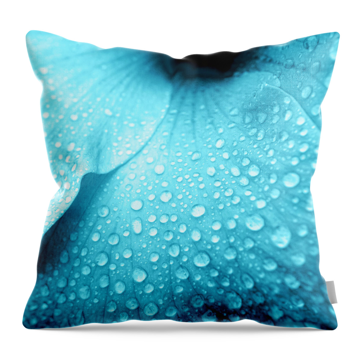 Hibiscus Flower Throw Pillow featuring the photograph Aqua droplets by Sean Davey