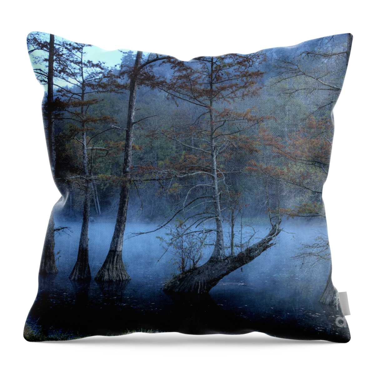 Mist Throw Pillow featuring the photograph Cypress Awakening by Tamyra Ayles